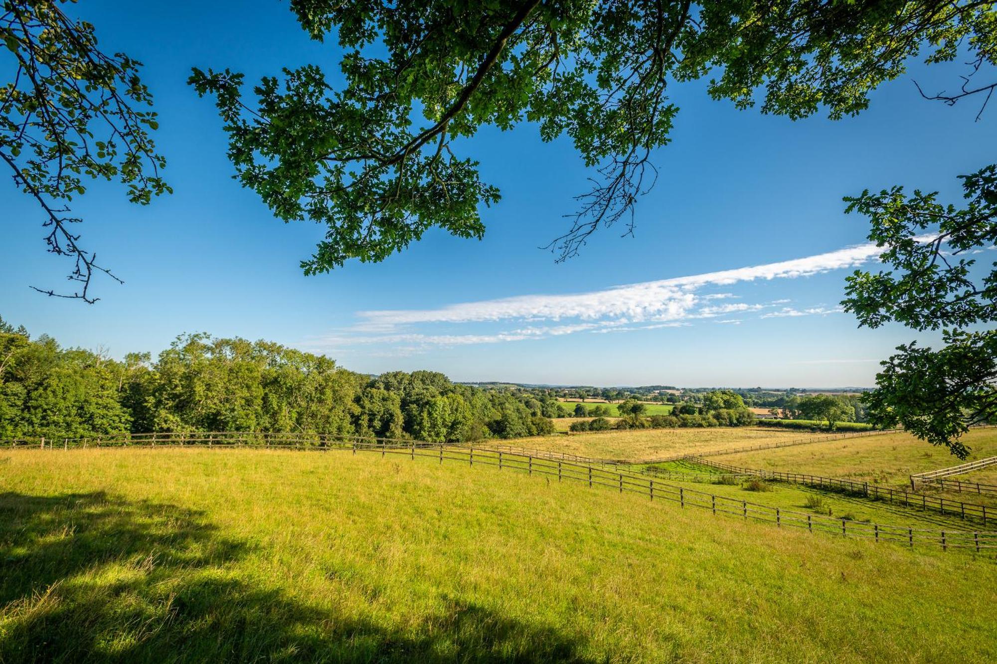 Abberley Shepherds Hut - Ockeridge Rural Retreats Otel Wichenford Dış mekan fotoğraf